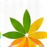 Energia Pura Small Logo Icon
