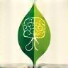 Holistic Approach Icon